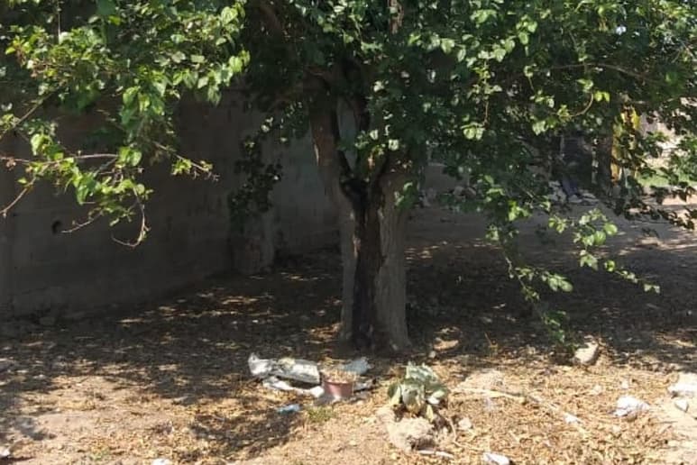 El hallazgo ocurrió la tarde del lunes, cuando un hombre percibió fétidos olores que expedía un moro. (EL SIGLO DE TORREÓN)