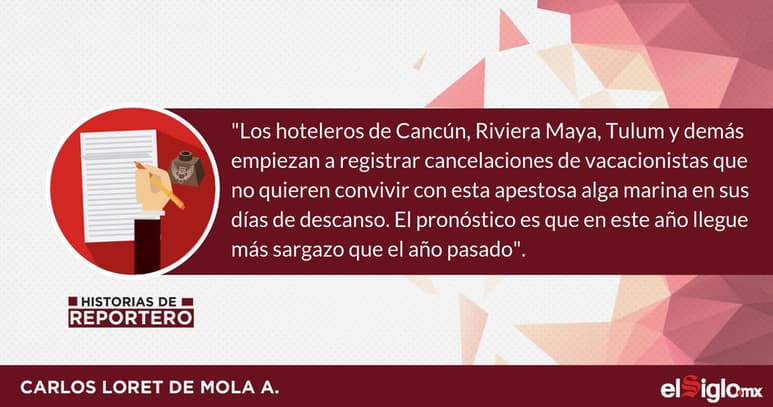 Coordinador del Tren Maya va por contratos del sargazo