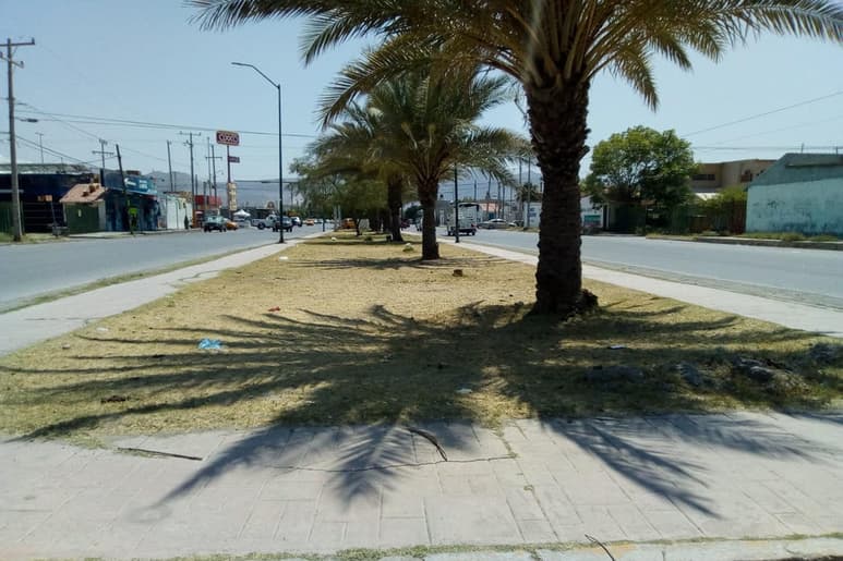 Habitantes exigen que las autoridades correspondientes puedan hacerse cargo de este camellón. (EL SIGLO DE TORREÓN)