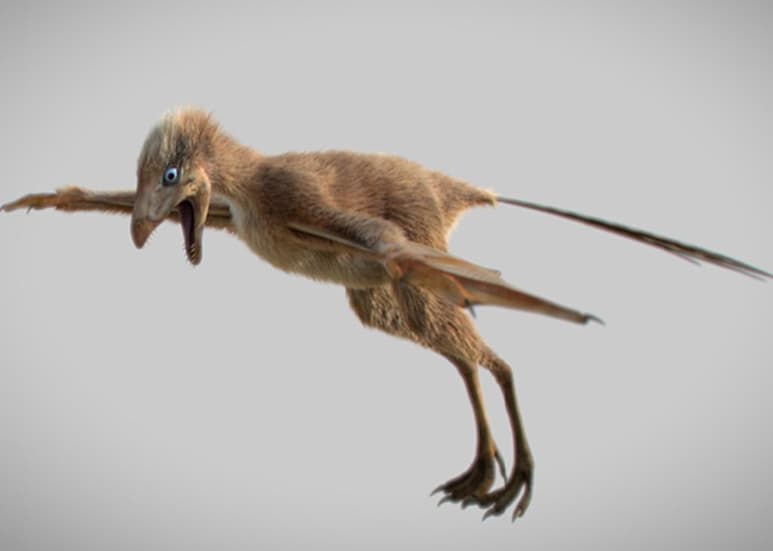 Reciente estudio aporta nuevas ideas sobre la evolución de los dinosaurios. (INTERNET)
