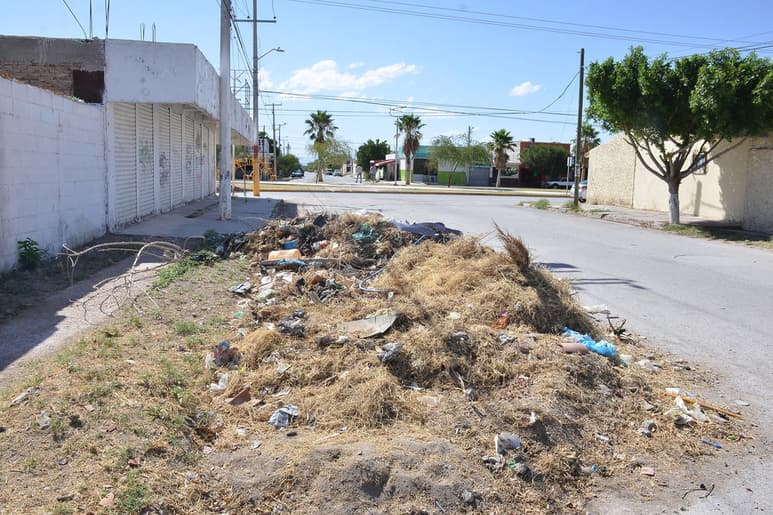Afirman que se trata de una situación insalubre y que ha generado malestar entre los vecinos de la zona desde hace meses. (EL SIGLO DE TORREÓN)