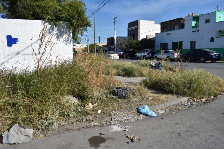 Se dificulta caminar por la banqueta ante la hierba y acumulación de basura. (EL SIGLO DE TORREÓN)