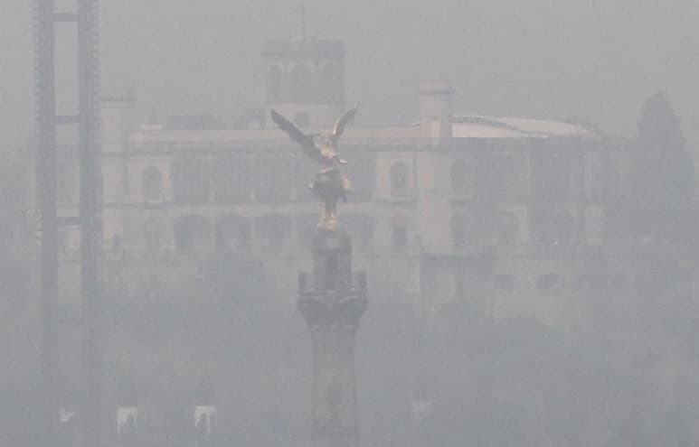El presidente Andrés Manuel López Obrador definirá el nombramiento del titular de la Comisión Ambiental de la Megalópolis (CAMe). (EFE)