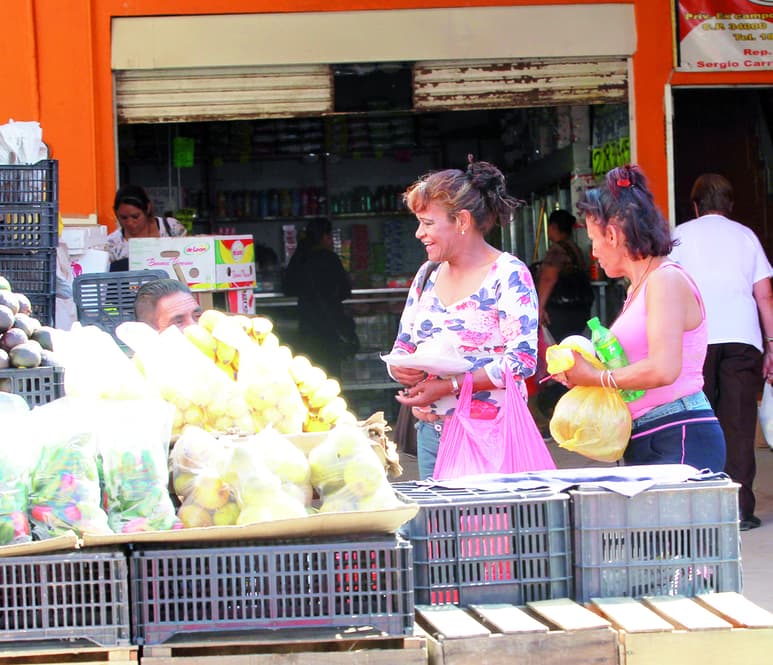 En Durango 35 de cada 100 familias no les alcanza el ingreso laboral para adquirir la canasta básica alimentaria. (EL SIGLO DE TORREÓN)