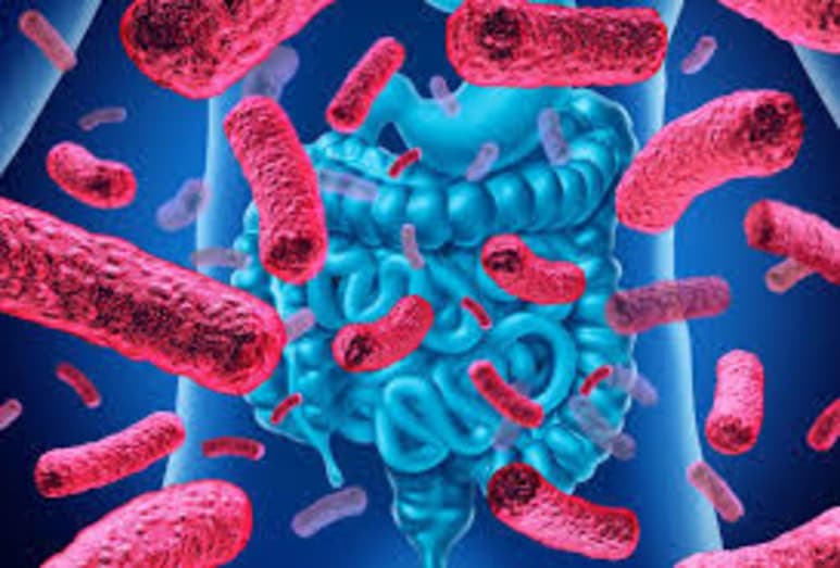 Podrían ser factores claves para prevenir el cáncer de colon. (ARCHIVO)