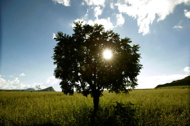 Los procesos sociales afectan mucho las predicciones sobre el calentamiento global. (ARCHIVO)