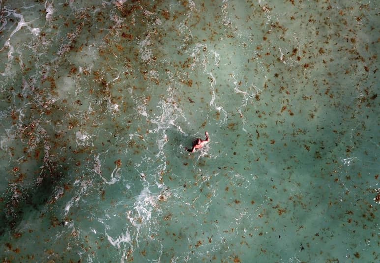El gobierno de Quintana Roo emitió una declaratoria de 'emergencia” en las playas de Cancún, Isla Mujeres, Puerto Morelos, Playa del Carmen, Cozumel, Tulum, Holbox, Felipe Carrillo Puerto, Bacalar y Othón P. Blanco, ante el 'inminente desastre' derivado del recale masivo de sargazo, lo que posibilitará acceder a fondos federales para la atención al fenómeno. (ARCHIVO)