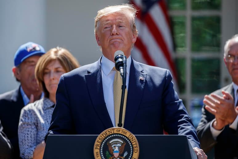 'Homan estará muy cerca de la frontera', señaló el presidente Donald Trump.