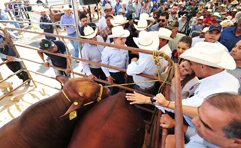 Aspectos generales de la visita que realizó el gobernador de Durango en productores ganaderos. (EL SIGLO DE TORREÓN)