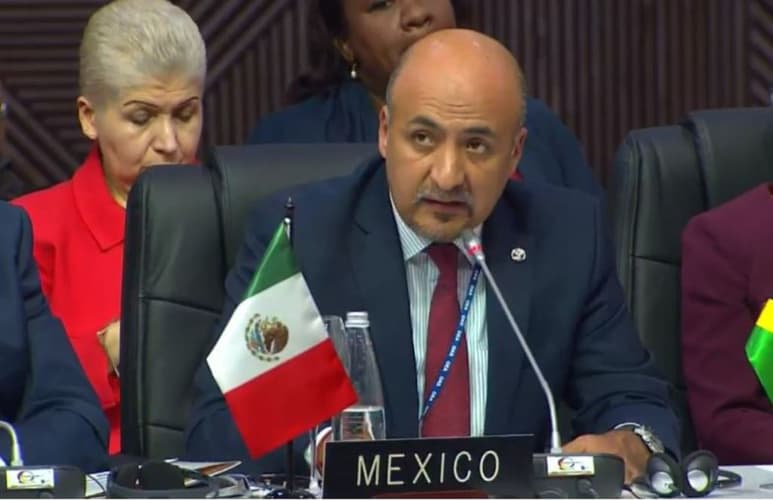 México se abstuvo de votar ante la OEA sobre la designación del enviado de Guiadó como representante de Venezuela.