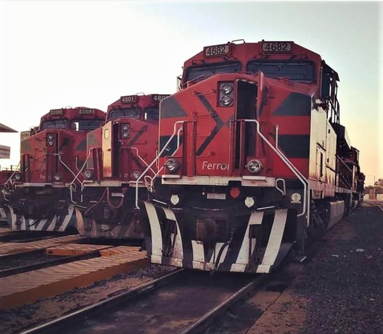Actualmente en la Comarca Lagunera este medio de transporte sólo se usa para el transporte de carga. (EL SIGLO)