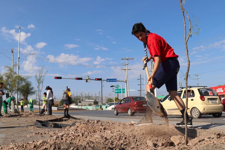 Se plantaron árboles sobre el camellón central desde Plaza Ignacio Allende hasta la rotonda al Papa. (CORTESÍA)