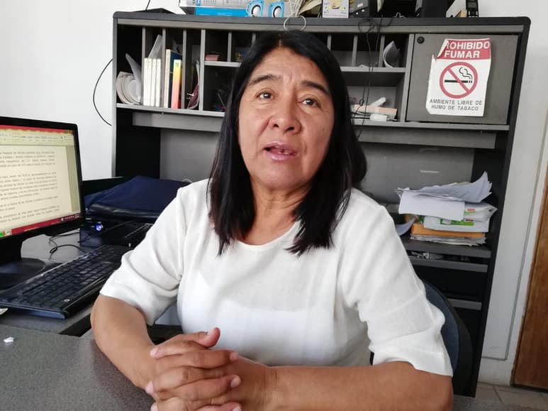 Miroslava Sánchez, diputada federal de la comisión de salud, comentó que buscará hacer eficiente los recursos. (ARCHIVO)