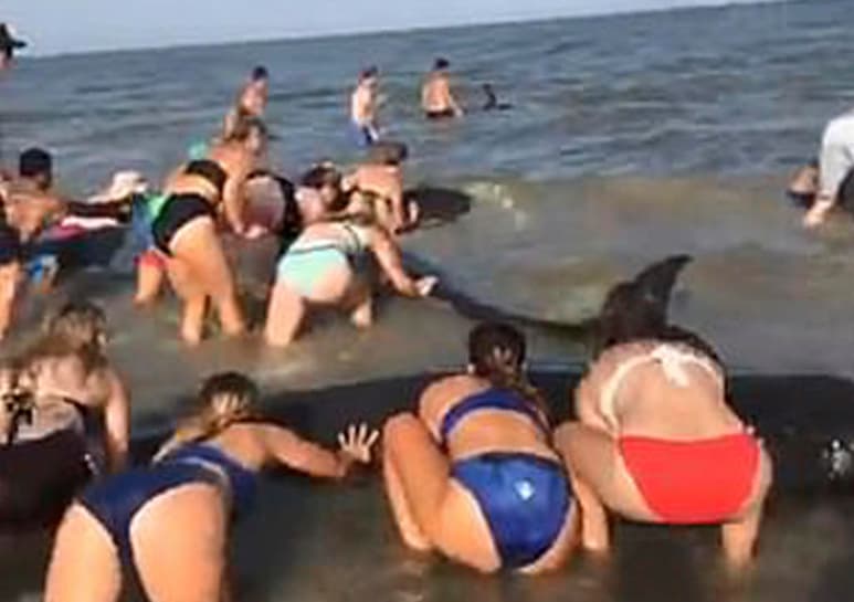 Video viral en redes sociales. (CAPTURA)