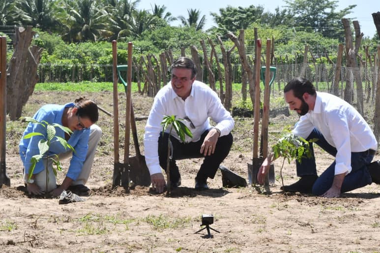 Bukele y Ebrard llegaron a San Pedro Masahuat para inaugurar el proyecto, cuya financiación por 31 millones de dólares apoyará la referida cantidad de empleos hasta diciembre próximo.