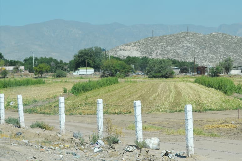 Organizaciones campesinas sostuvieron una reunión con el titular del Sader, José Luis Nava, para externar su inconformidad. (EL SIGLO DE TORREÓN)