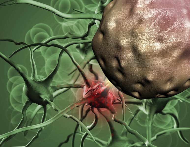 La secuenciación genómica es el análisis de los genes que se encuentran en el tumor, que es al final lo que conlleva el cáncer. (ARCHIVO)
