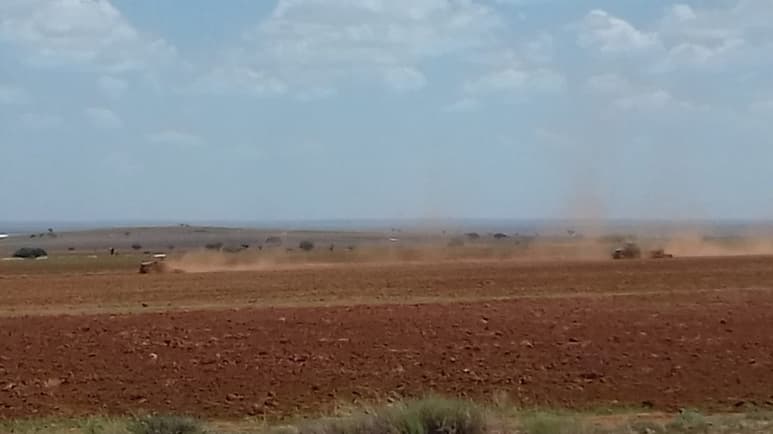 En seco, muchos agricultores se arriesgaron a sembrar granos como cebada, trigo y avena, ante la falta de lluvias en Cuencamé. (EL SIGLO DE TORREÓN)