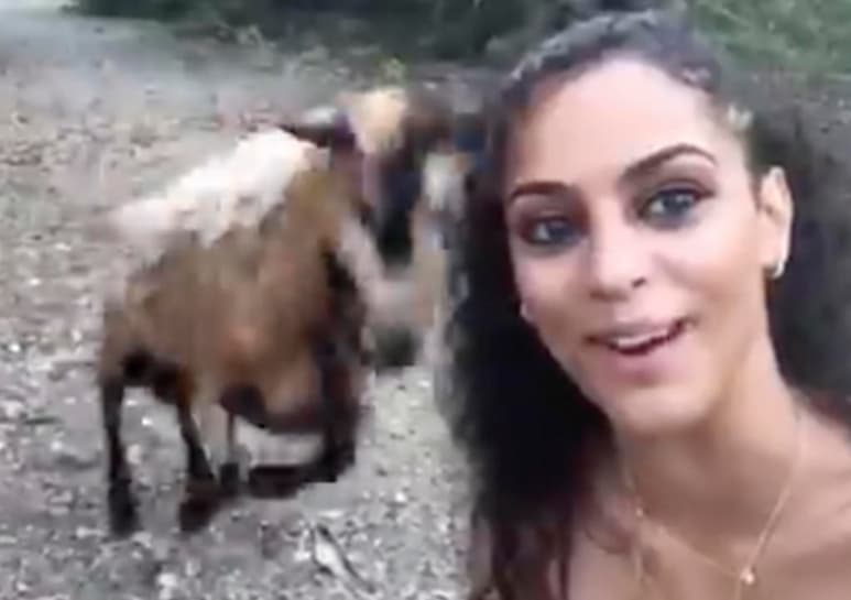Video viral en redes sociales. (CAPTURA)