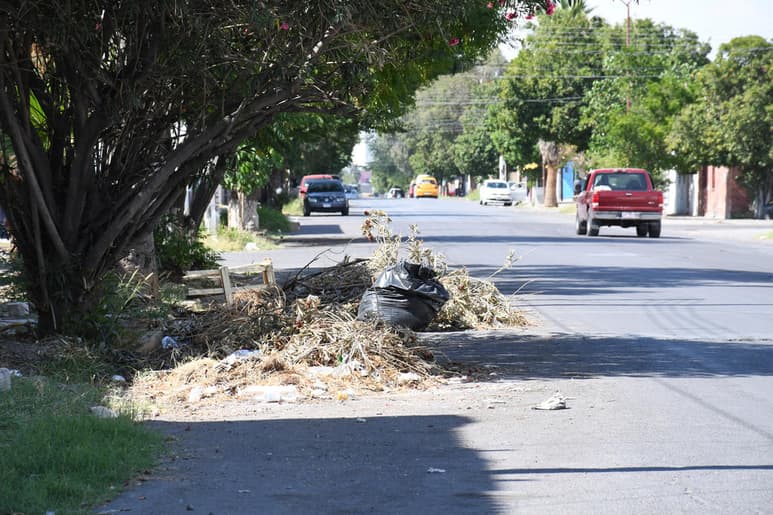 Se pueden encontrar desde ramas secas, basura doméstica y hasta animales muertos. (EL SIGLO DE TORREÓN)