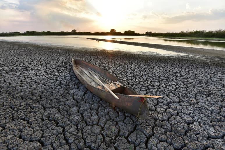 Con el apoyo del gobierno federal, a través del Seguro de Daños Climáticos en los Agostaderos, la Confederación Nacional de Organizaciones Ganaderas (CNOG) indemnizará a productores afectados por las sequías en cuatro estados del país. (ARCHIVO)