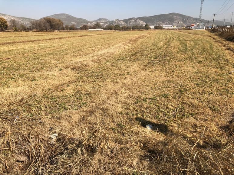 No se autorizaron más recursos al campo duranguense, durante la pasada reunión con el titular de la Sader. (EL SIGLO DE TORREÓN)