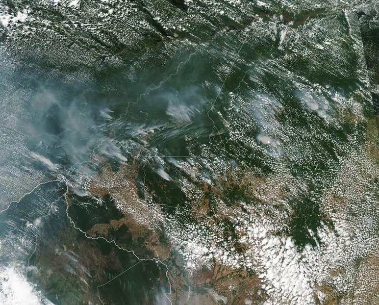 Los integrantes del movimiento Juventudes por el Clima o 'Friday for Future' lanzaron la convocatoria en un comunicado a fin de reaccionar ante los incendios que consumen el conocido “pulmón del mundo”. (ARCHIVO)