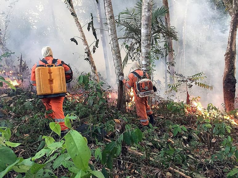 Las llamas en la selva devoran sin cesar el Amazonas en medio de una creciente indignación popular, una tragedia que las organizaciones ecologistas achacan a la 'retórica antiambiental' del presidente de Brasil, Jair Bolsonaro. (EFE)