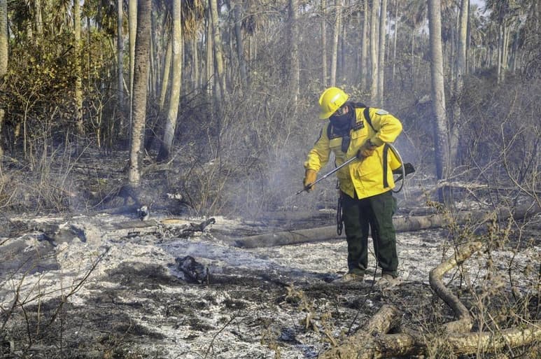 Entre los principales líderes políticos que han manifestado sus advertencias por la gestión ambiental de Brasil, figuran el presidente francés, Emmanuel Macron, el primer ministro irlandés, Leo Varadkar, o el ministro de Asuntos Exteriores de Luxemburgo, Jean Asselborn. (ARCHIVO)