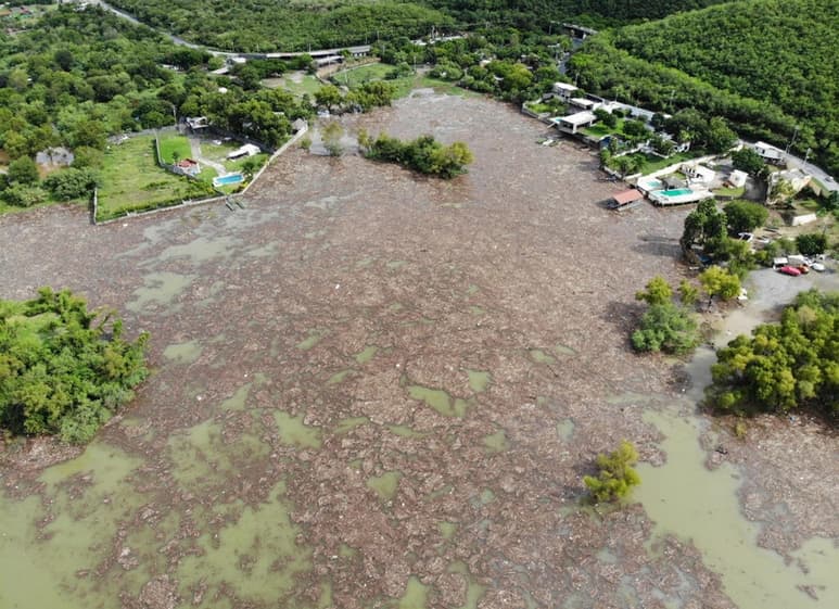 Luego de que el día de ayer cayó un promedio de entre 350 y 400 milímetros de lluvia en Nuevo León por la tormenta tropical Fernand -degradada a baja presión remanente-, autoridades estatales detallaron que estas cifras estarían cerca de las registradas con el huracán Alex en 2010. (NOTIMEX)