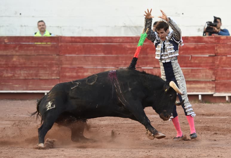 Dos actuaciones en importantes plazas españolas tendrá durante la presente semana Gilio Quintero, en su debut con picadores. (ARCHIVO) 