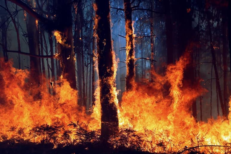 La localidad de Quilanga, donde se registra el fuego, fue declarada el pasado domingo en emergencia. (ARCHIVO)