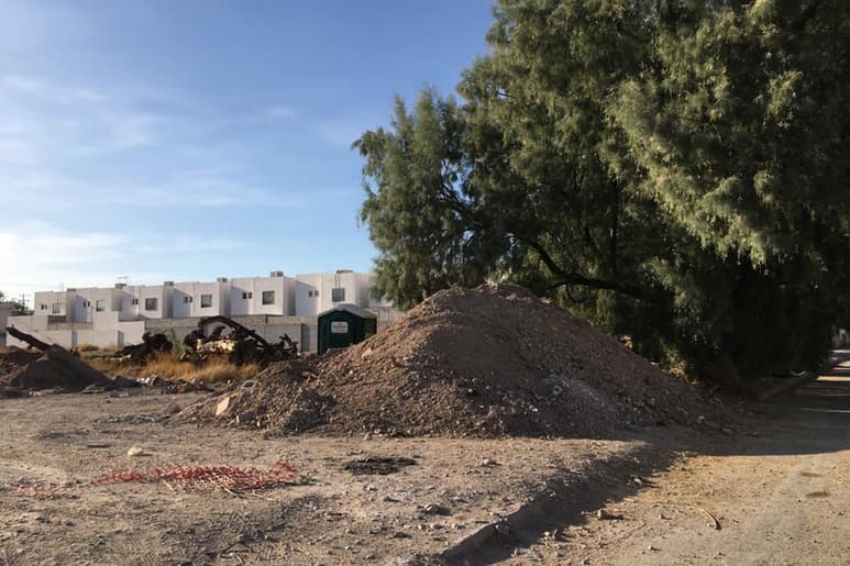 Personal de Medio Ambiente acudió a efectuar una inspección este lunes y se verificó las condiciones en que se llevó la tala y la fecha. (EL SIGLO DE TORREÓN)