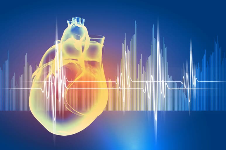Un nuevo biomaterial que imita el tejido del corazón humano ayudará a desactivar las células que, con el paso de los años, endurecen las válvulas del órgano vital e impiden la circulación de la sangre. (ARCHIVO)