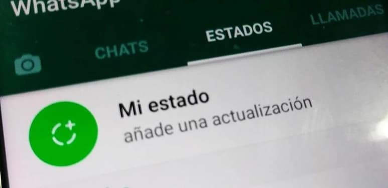 Dicha opción está disponible para el sistema de iOS y Android.
