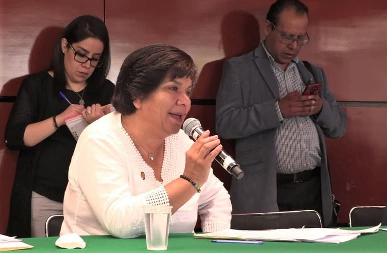 La legisladora de Morena recordó que se anunció la creación de una empresa pública de telecomunicaciones para ofrecer servicio de telefonía celular e Internet en zonas donde las grandes empresas no quieren entrar porque no es negocio. (ESPECIAL)
