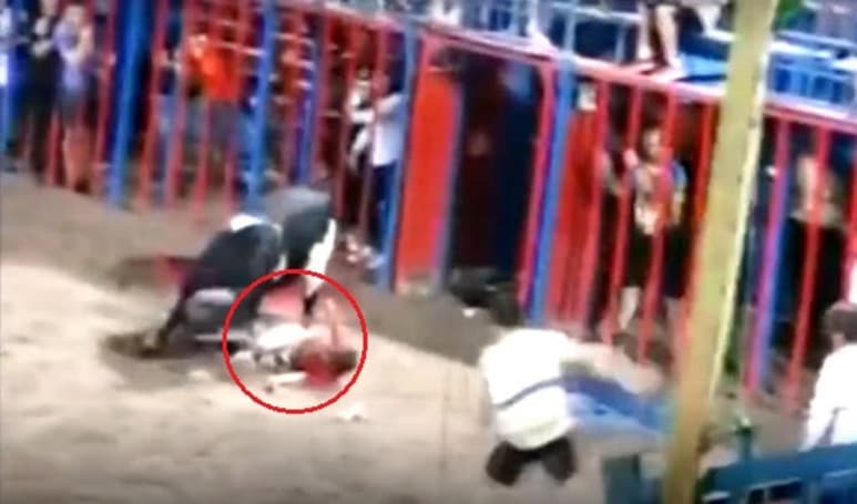El menor cayó directamente hacia donde se encontraba el bovino (INTERNET)