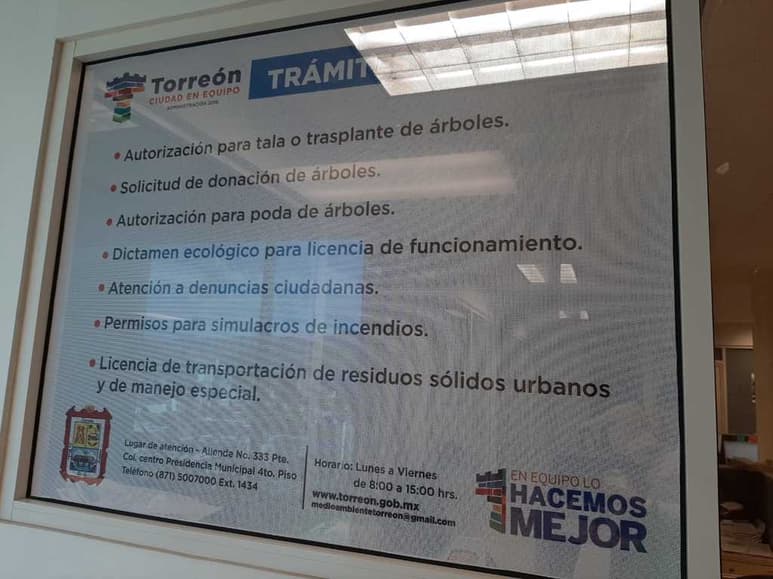 Es en la Dirección de Medio Ambiente y Ecología del Municipio de Torreón donde se tramita el permiso de tala, que es gratuito. (DIANA GONZÁLEZ)