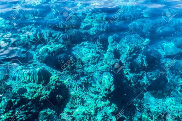 Un equipo de investigadores de Columbia Británica, Canadá, trabaja en el desarrollo de una tecnología que permita extraer dióxido de carbono del aire y convertirlo en roca sólida en el fondo del océano. (ARCHIVO)