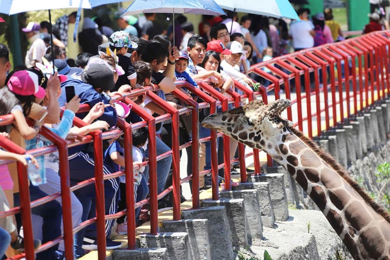 La Organización para la Cooperación y el Desarrollo Económico (OCDE) considera que en México para que una persona sea de clase media requiere tener ingresos mensuales netos de 6 mil 261 a casi 16 mil 700 pesos. (ARCHIVO)