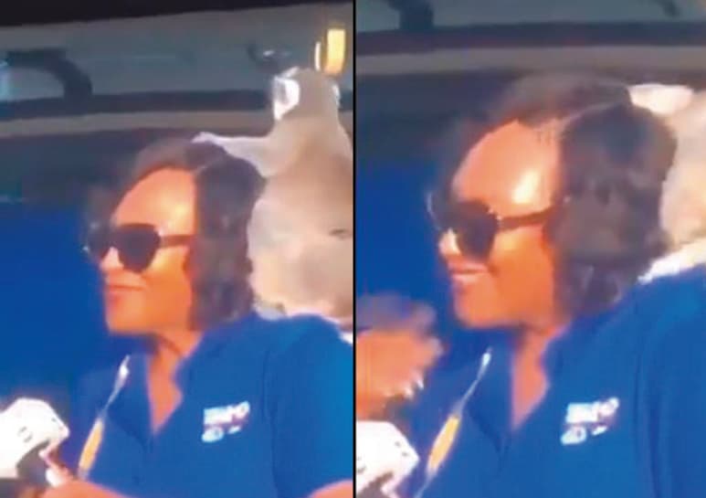 Video compartido en Twitter. (CAPTURA) 