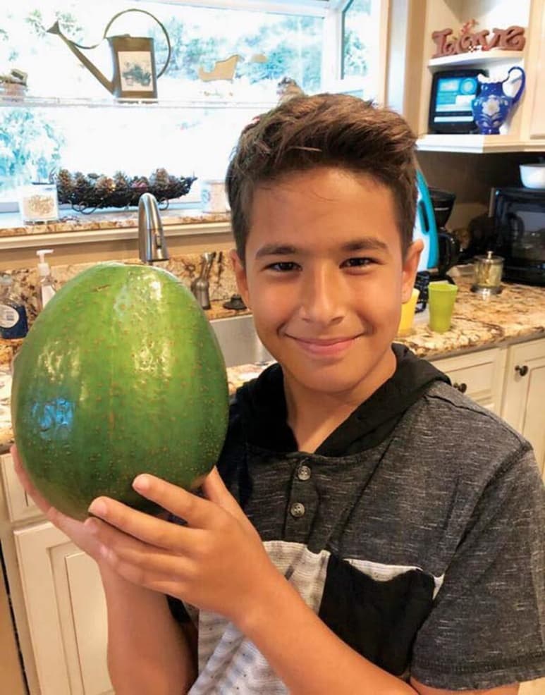 Al aguacate galardonado se le dio buen uso cuando la familia “hizo un montón de guacamole” para compartir con parientes y amigos. (ESPECIAL)