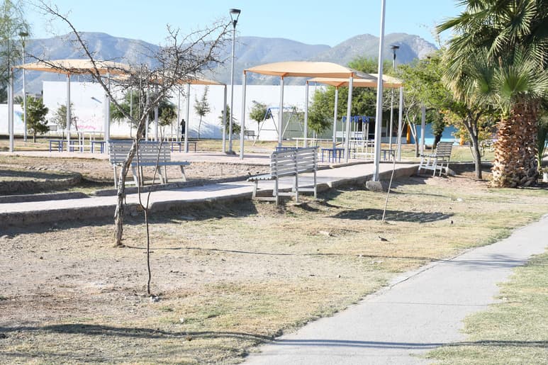 Durante 2019 se han colocado alrededor de 11 mil 518 árboles en distintos puntos de la ciudad. (ERNESTO RAMÍREZ)