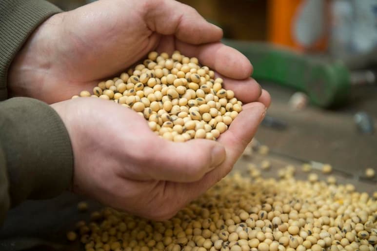 China confirmó la adquisición de productos del campo estadounidense y la agilización de estas compras. (ARCHIVO)