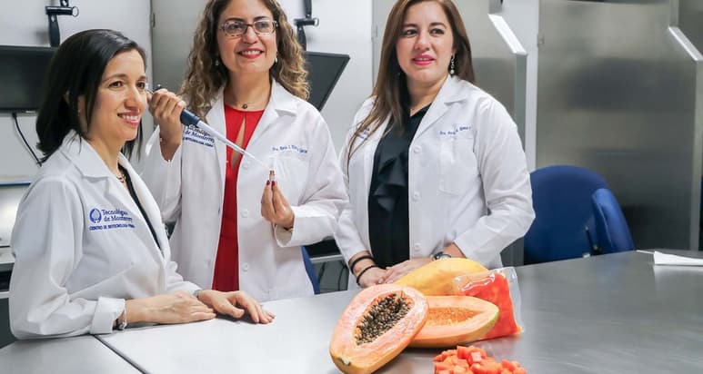 Las científicas desarrollaron un método para aumentar el valor nutricional de la papaya. (CORTESÍA)