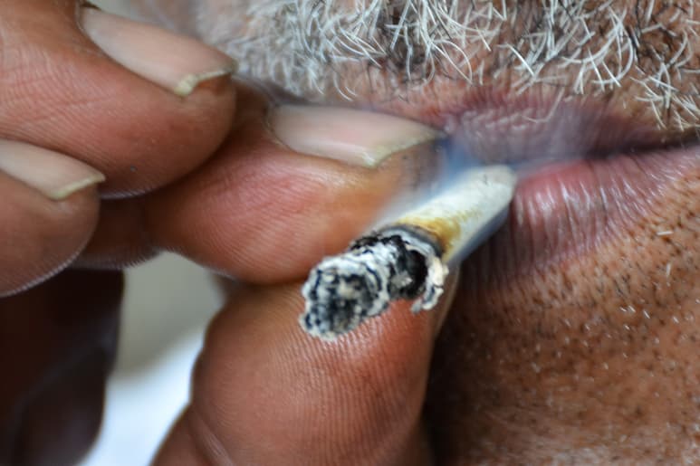 Según el estudio, Torreón es la ciudad entre otras 20 que consume más marihuana.