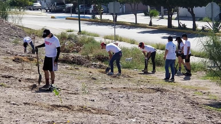 Se plantaron 103 árboles en la avenida Praxedis Guerrero, esquina con Ricardo Flores Magón. (DIANA GONZÁLEZ)