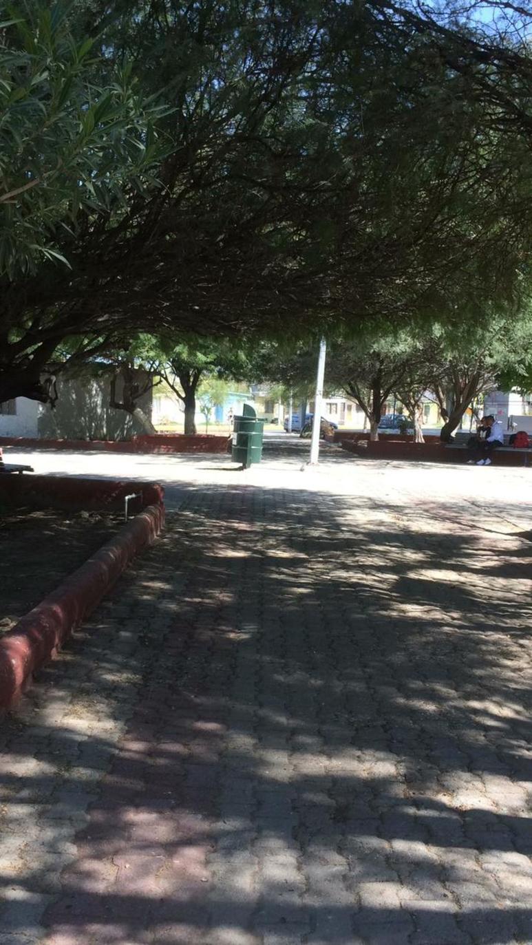 Desde hace un año y medio cada miércoles el comité de vecinos de la colonia Fuentes del Sur se encargan de la limpieza de la plaza. (MARY VÁZQUEZ)