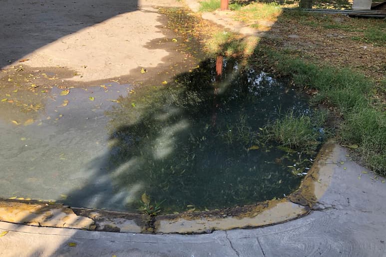 El agua negra se acumula en la colonia y es un foco de infección. (EL SIGLO DE TORREÓN)