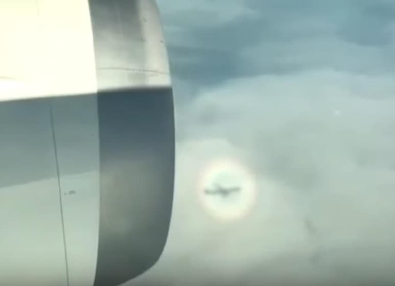 Era un vuelo doméstico de China. (INTERNET)